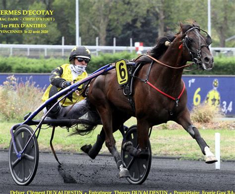 hermes d'ecotay le trot|HERMES D'ECOTAY (élevage) .